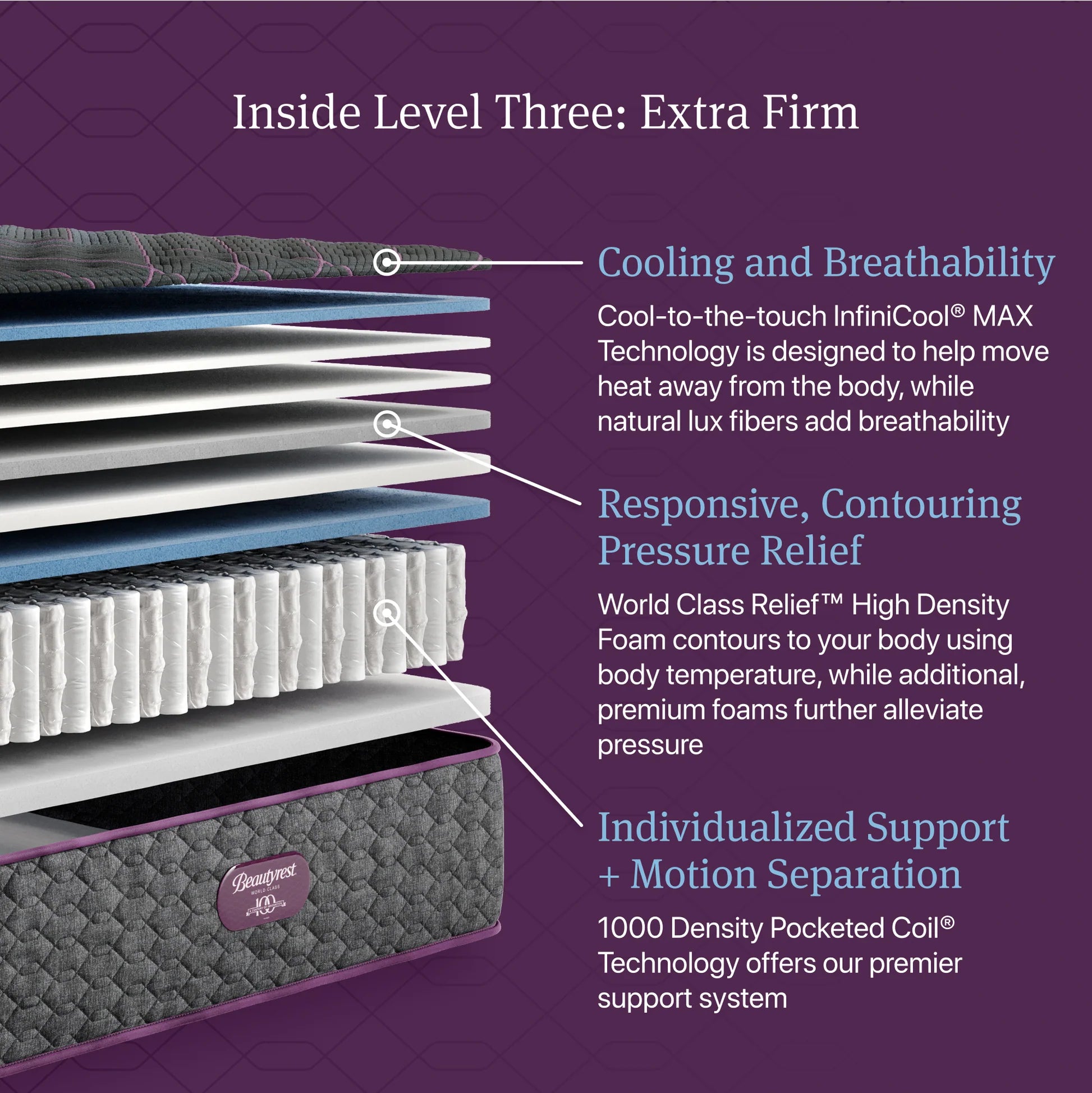 Beautyrest World Class Level 3 Extra Firm Mattress